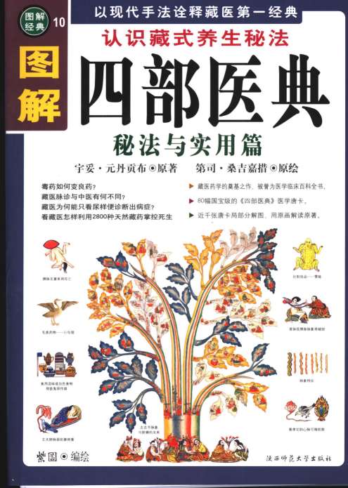 图解四部医典  秘法与实用篇  认识藏式养生秘法